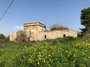  أيام نكبة - تعرّف على قرية دانيال المهجرّة قضاء الرملة .. صور